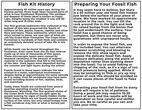 Prepare Your Own Fossil Fish Kit - Cockerellites (Priscacara) - Photo 5
